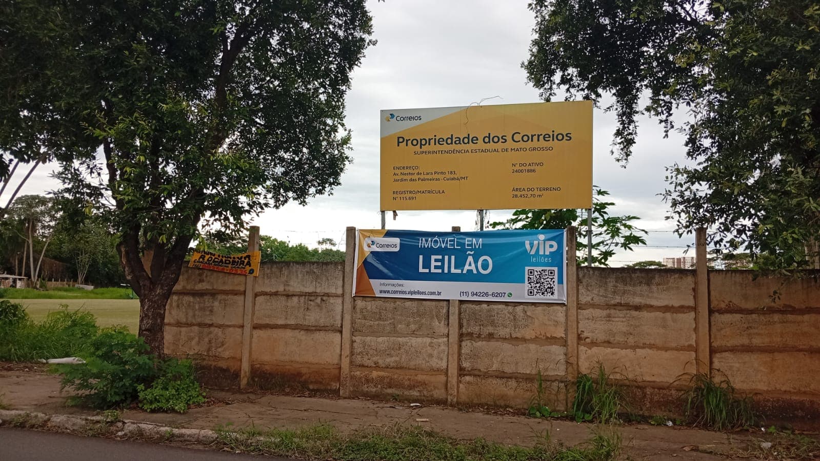 principal