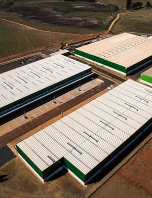 HGLG Ribeirão Preto